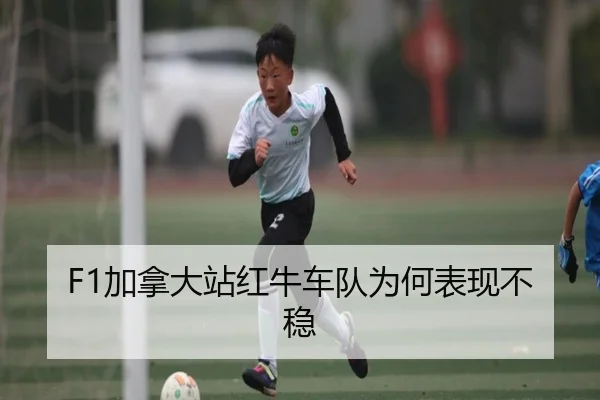 F1加拿大站红牛车队为何表现不稳